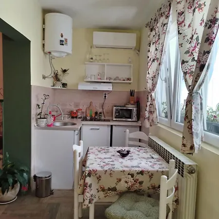 Vilin Konjic * Arilje